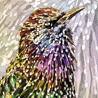 starling (2020)
